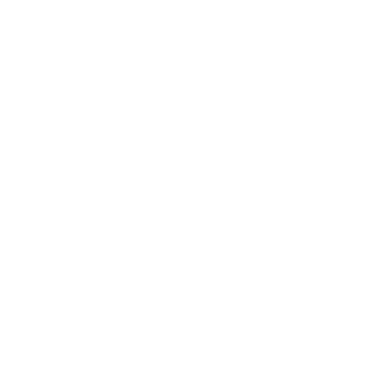 Animazione immagine guida del Festival